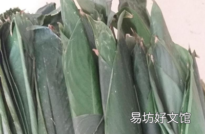 为什么有的粽叶一点香味都没有