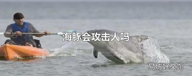 海豚会攻击人吗
