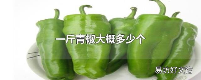 一斤青椒大概多少个