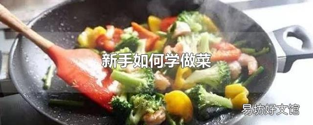 新手如何学做菜