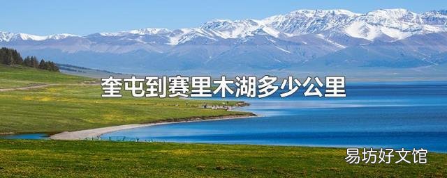 奎屯到赛里木湖多少公里