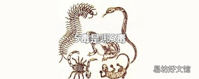 5毒是哪5毒