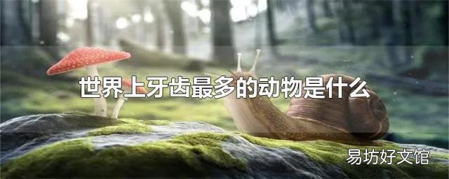 世界上牙齿最多的动物是什么