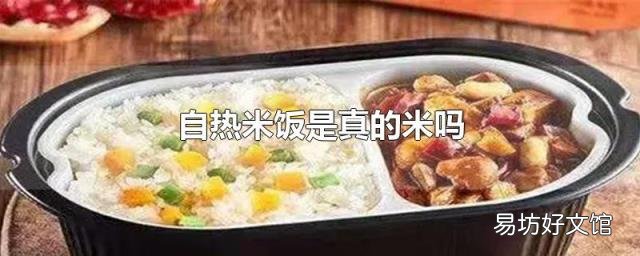 自热米饭是真的米吗