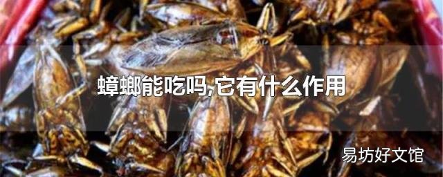 蟑螂能吃吗,它有什么作用