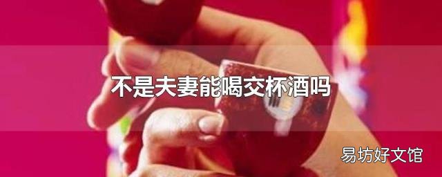 不是夫妻能喝交杯酒吗