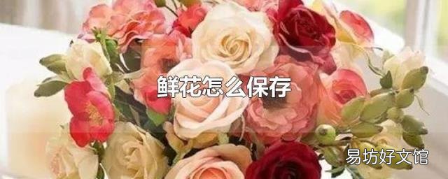 鲜花怎么保存