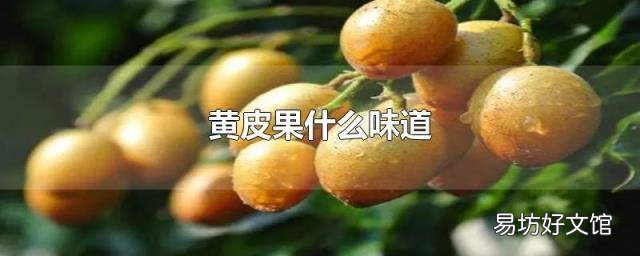 黄皮果什么味道
