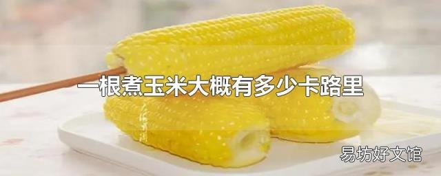 一根煮玉米大概有多少卡路里