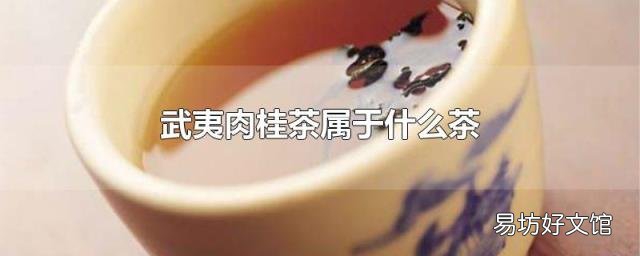 武夷肉桂茶属于什么茶