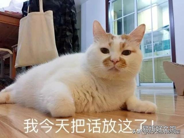 猫肛门腺一定要挤吗(猫肛门腺为什么要挤)