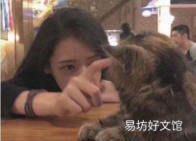 喜欢猫的女生什么性格(喜欢猫的女生性格怎样)