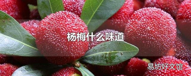 杨梅什么味道