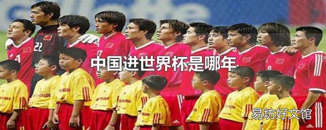 中国进世界杯是哪年