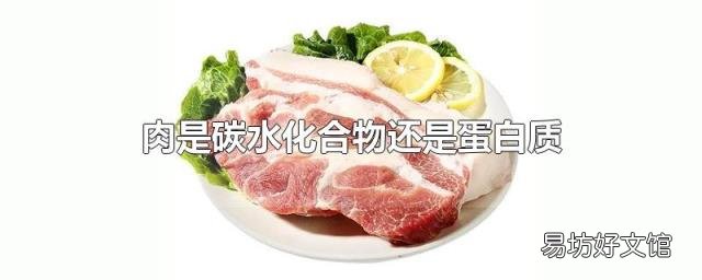 肉是碳水化合物还是蛋白质