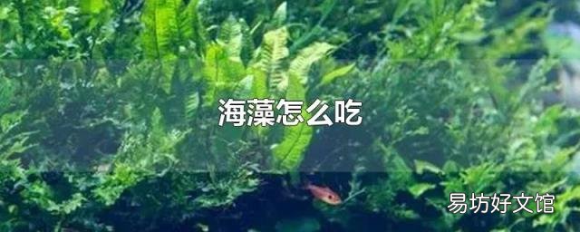 海藻怎么吃