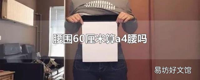 腰围60厘米算a4腰吗