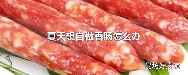 夏天想自做香肠怎么办