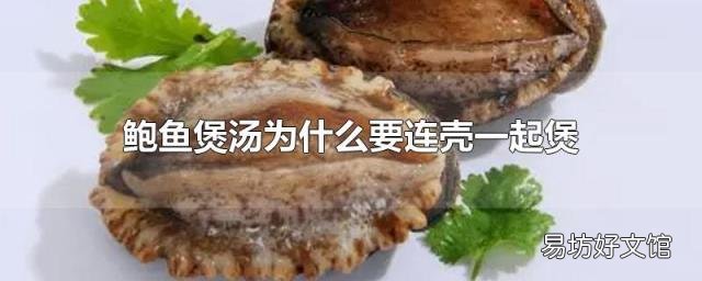 鲍鱼煲汤为什么要连壳一起煲