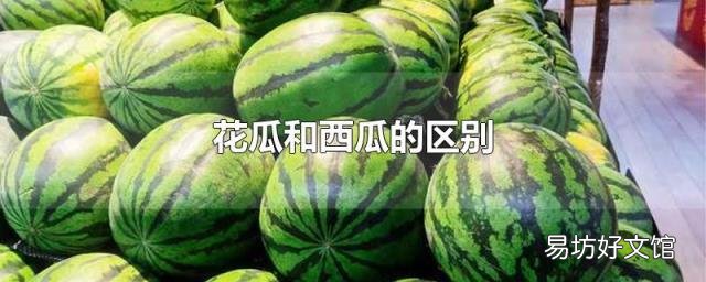 花瓜和西瓜的区别
