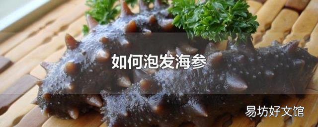 如何泡发海参