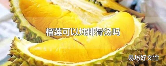 榴莲可以炖排骨汤吗