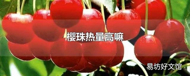 樱珠热量高嘛