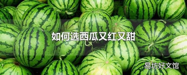 如何选西瓜又红又甜