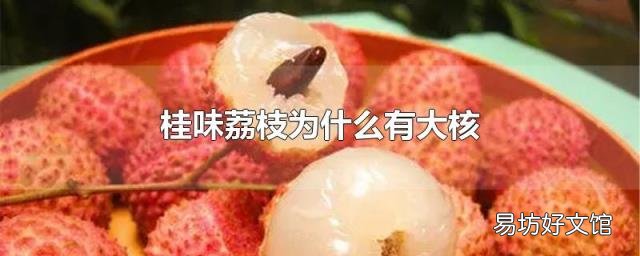 桂味荔枝为什么有大核