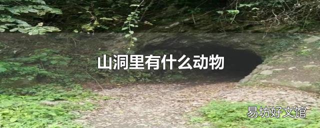 山洞里有什么动物