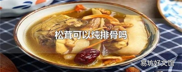 松茸可以炖排骨吗
