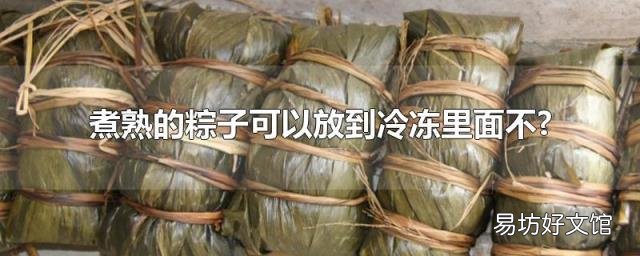 煮熟的粽子可以放到冷冻里面不?