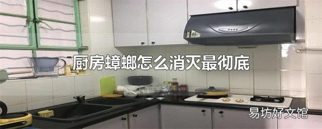 厨房蟑螂怎么消灭最彻底