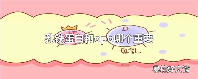 乳铁蛋白和opo哪个重要