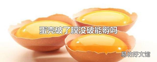 蛋壳破了膜没破能孵吗