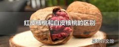 红皮核桃和白皮核桃的区别