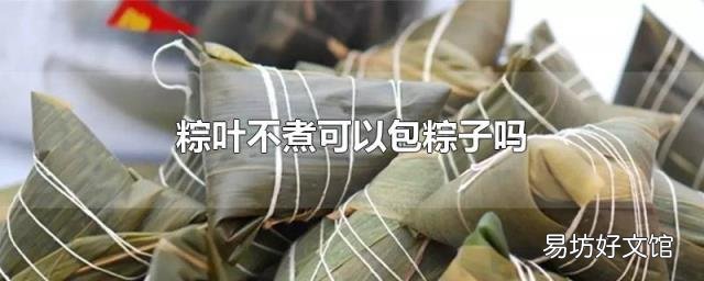 粽叶不煮可以包粽子吗