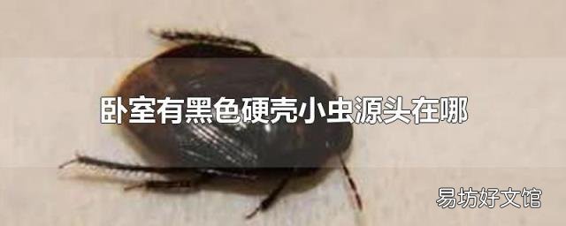 卧室有黑色硬壳小虫源头在哪