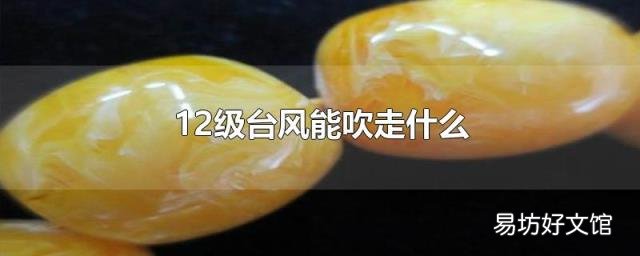 12级台风能吹走什么