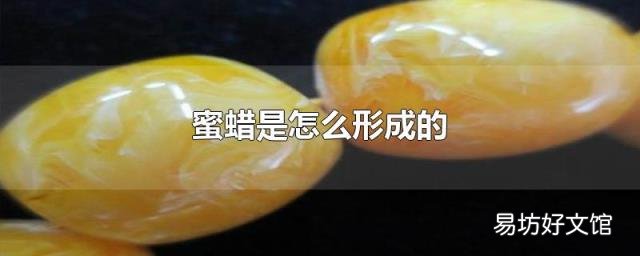 蜜蜡是怎么形成的