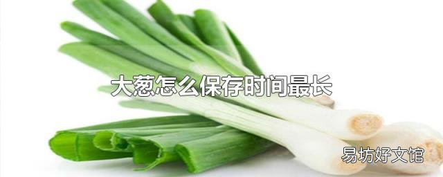大葱怎么保存时间最长