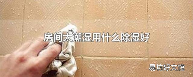 房间太潮湿用什么除湿好