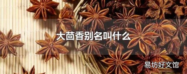 大茴香别名叫什么