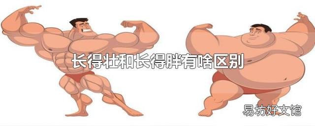 长得壮和长得胖有啥区别