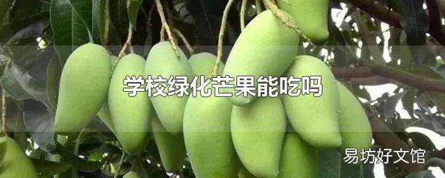 学校绿化芒果能吃吗