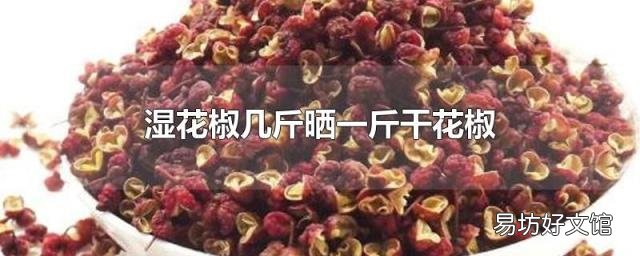 湿花椒几斤晒一斤干花椒