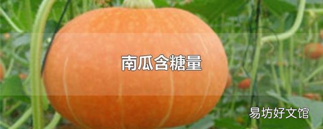 南瓜含糖量