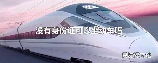 没有身份证可以坐动车吗