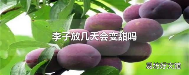 李子放几天会变甜吗