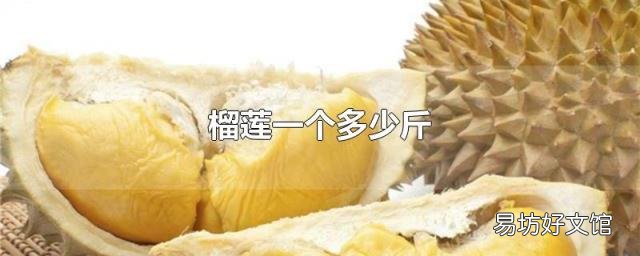 榴莲一个多少斤